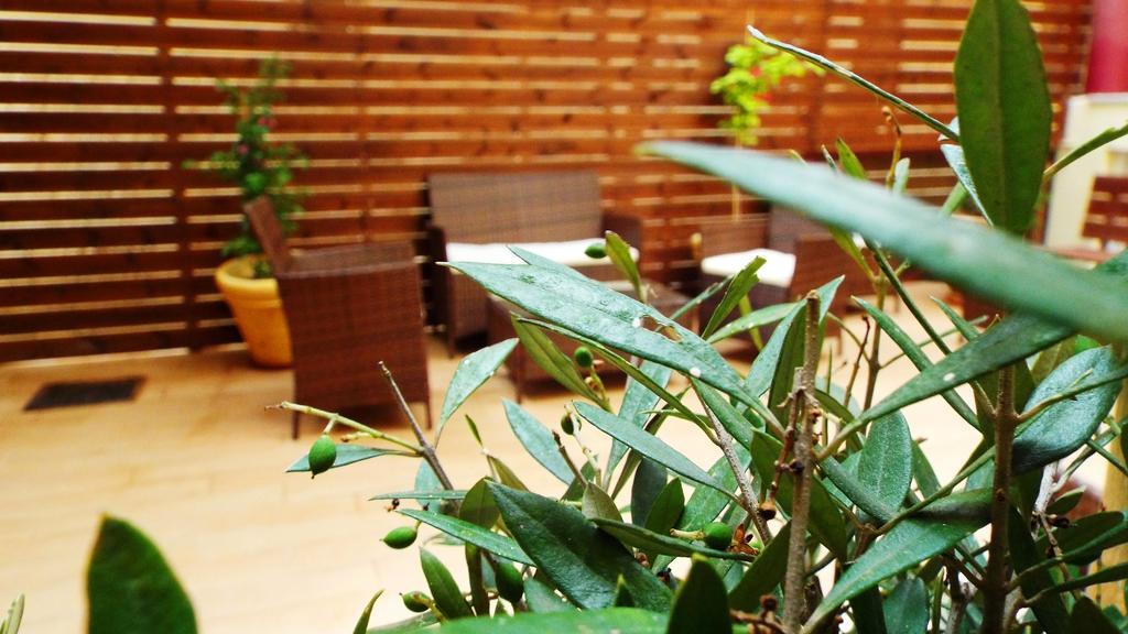 Argo Maisonettes Vasiliki  Ngoại thất bức ảnh